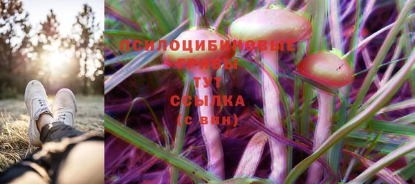 марки lsd Михайловка